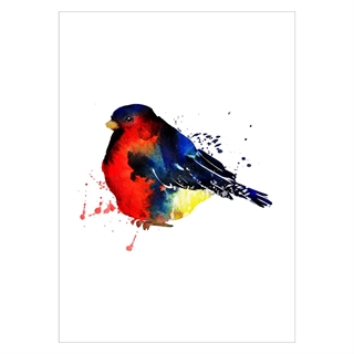 Affisch med en bild av en dompap -fågel