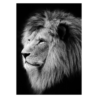 Svartvitt affisch med ett lejon från sidan