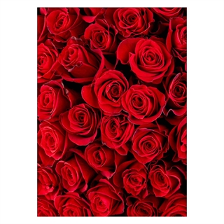 Affisch med röda rosor