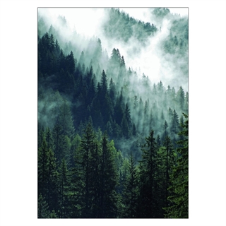 Affisch med fjällskog och dimma