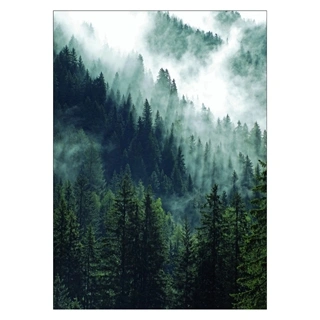Affisch - Bergskog och dimma