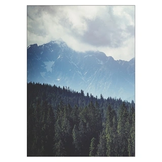 Affisch - Gröna bergskog landskap