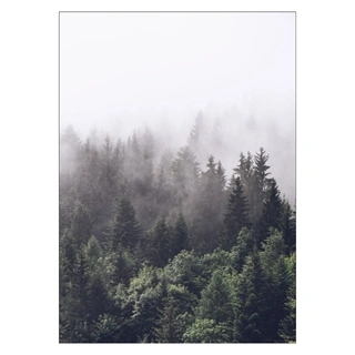 Affisch - Skogbevuxen bergsluttning
