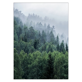 Affisch med träd på berget med dimma
