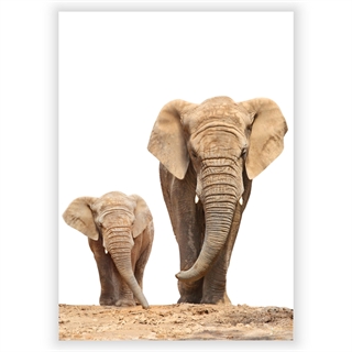 Affisch med afrikansk familj elefantmamma och litet barn
