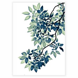 Affischer - Green leaf 