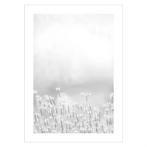 Affisch med blommor i en ljusgrå färg