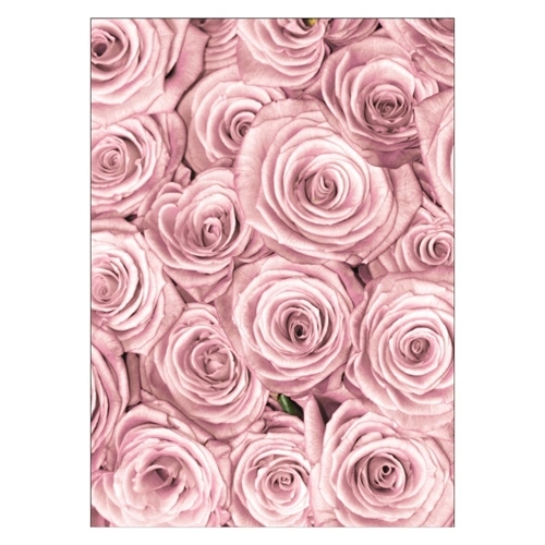 Affisch med naturliga rosa rosor