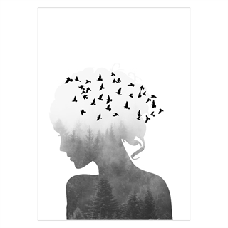 Affisch - Silhouette Women and Birds. Affischen föreställer en kvinna i profil som har fåglar som flygande in i sig