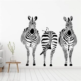 Väggdekor 3 zebra på stripe 