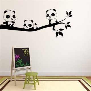 Väggdekor med 3 söta pandor på en gren