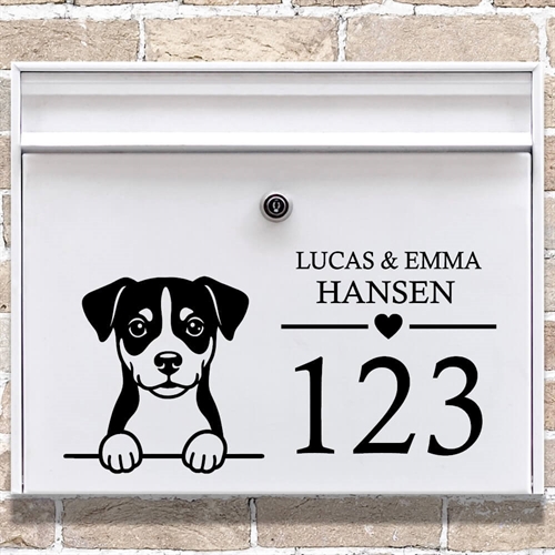 Brevlåda stickers med maskros