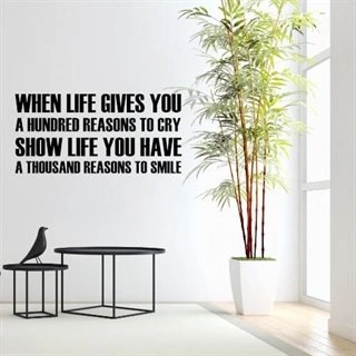 When lives gives you a 100 reasons to cry - wallstickertext