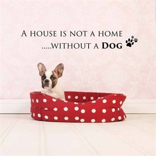 Väggdekor med engelsk text – A house without a dog